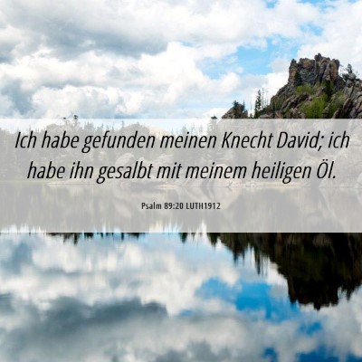Picture 06 - Psalm 89:20 LUTH1912 - Ich habe gefunden meinen Knecht David; ich habe - Bible Verse Picture