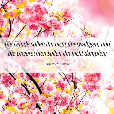 Picture 06 - Psalm 89:22 LUTH1912 - Die Feinde sollen ihn nicht überwältigen, und - Bible Verse Picture