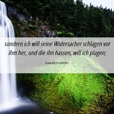 Picture 06 - Psalm 89:23 LUTH1912 - sondern ich will seine Widersacher schlagen vor - Bible Verse Picture