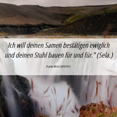 Picture 06 - Psalm 89:4 LUTH1912 - Ich will deinen Samen bestätigen ewiglich und - Bible Verse Picture