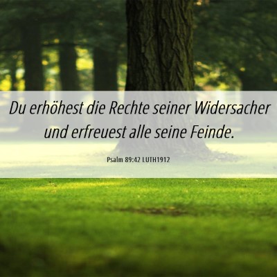 Picture 06 - Psalm 89:42 LUTH1912 - Du erhöhest die Rechte seiner Widersacher und - Bible Verse Picture
