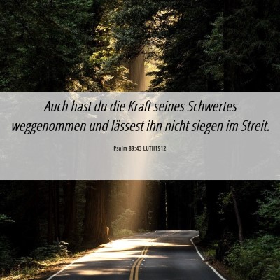 Picture 06 - Psalm 89:43 LUTH1912 - Auch hast du die Kraft seines Schwertes - Bible Verse Picture