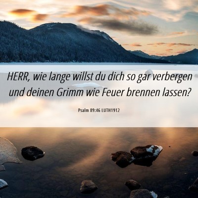 Picture 06 - Psalm 89:46 LUTH1912 - HERR, wie lange willst du dich so gar verbergen - Bible Verse Picture