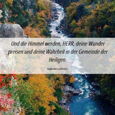 Picture 06 - Psalm 89:5 LUTH1912 - Und die Himmel werden, HERR, deine Wunder preisen - Bible Verse Picture