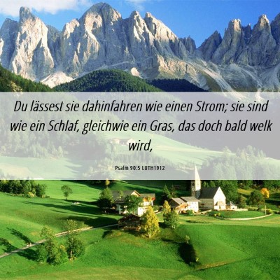 Picture 06 - Psalm 90:5 LUTH1912 - Du lässest sie dahinfahren wie einen Strom; sie - Bible Verse Picture