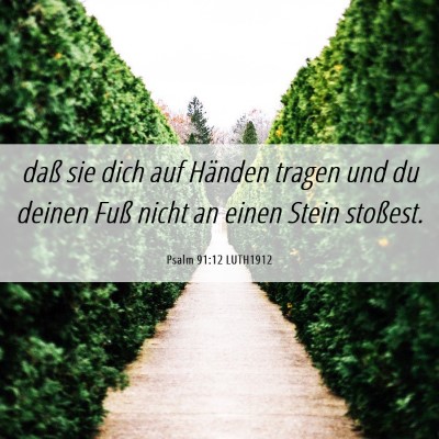 Picture 06 - Psalm 91:12 LUTH1912 - daß sie dich auf Händen tragen und du deinen - Bible Verse Picture