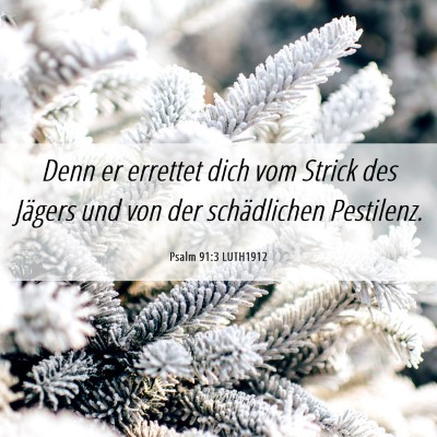 Picture 06 - Psalm 91:3 LUTH1912 - Denn er errettet dich vom Strick des Jägers und - Bible Verse Picture