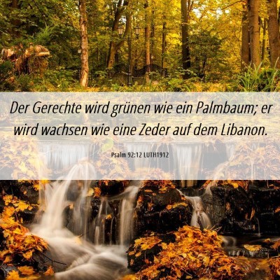 Picture 06 - Psalm 92:12 LUTH1912 - Der Gerechte wird grünen wie ein Palmbaum; er - Bible Verse Picture