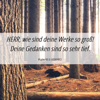 Picture 06 - Psalm 92:5 LUTH1912 - HERR, wie sind deine Werke so groß! Deine - Bible Verse Picture