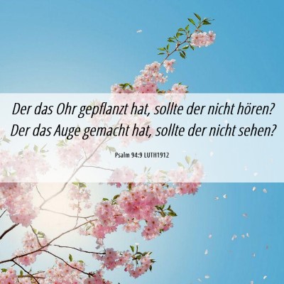 Picture 06 - Psalm 94:9 LUTH1912 - Der das Ohr gepflanzt hat, sollte der nicht - Bible Verse Picture