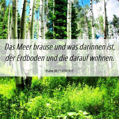 Picture 06 - Psalm 98:7 LUTH1912 - Das Meer brause und was darinnen ist, der - Bible Verse Picture