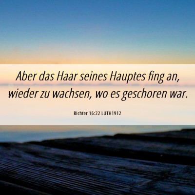 Picture 06 - Richter 16:22 LUTH1912 - Aber das Haar seines Hauptes fing an, wieder zu - Bible Verse Picture
