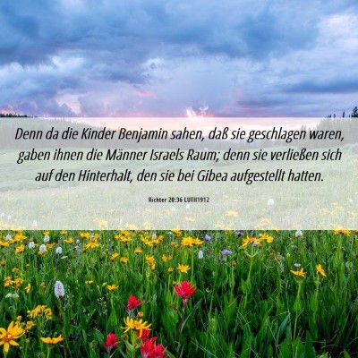 Picture 06 - Richter 20:36 LUTH1912 - Denn da die Kinder Benjamin sahen, daß sie - Bible Verse Picture