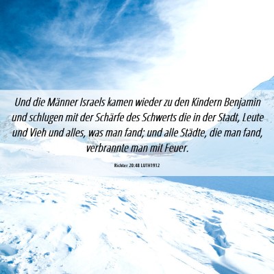 Picture 06 - Richter 20:48 LUTH1912 - Und die Männer Israels kamen wieder zu den - Bible Verse Picture