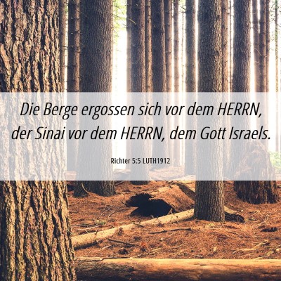 Picture 06 - Richter 5:5 LUTH1912 - Die Berge ergossen sich vor dem HERRN, der Sinai - Bible Verse Picture