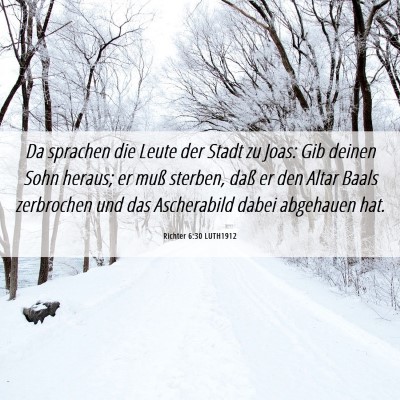 Picture 06 - Richter 6:30 LUTH1912 - Da sprachen die Leute der Stadt zu Joas: Gib - Bible Verse Picture