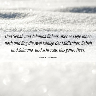 Picture 06 - Richter 8:12 LUTH1912 - Und Sebah und Zalmuna flohen; aber er jagte ihnen - Bible Verse Picture