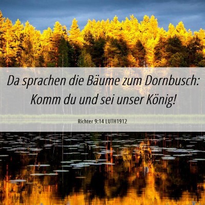 Picture 06 - Richter 9:14 LUTH1912 - Da sprachen die Bäume zum Dornbusch: Komm du und - Bible Verse Picture