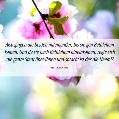 Picture 06 - Rut 1:19 LUTH1912 - Also gingen die beiden miteinander, bis sie gen - Bible Verse Picture