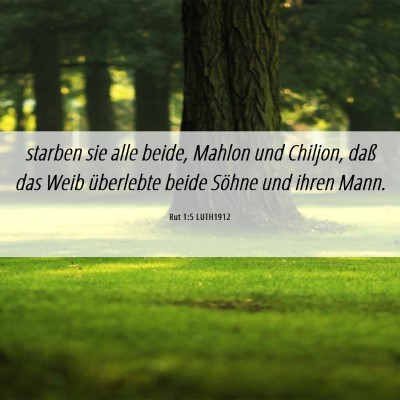 Picture 06 - Rut 1:5 LUTH1912 - starben sie alle beide, Mahlon und Chiljon, daß - Bible Verse Picture