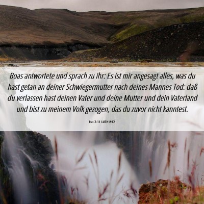 Picture 06 - Rut 2:11 LUTH1912 - Boas antwortete und sprach zu ihr: Es ist mir - Bible Verse Picture