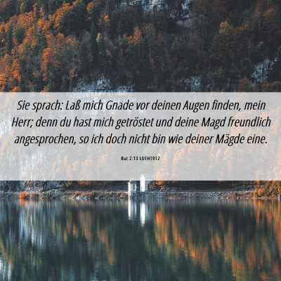 Picture 06 - Rut 2:13 LUTH1912 - Sie sprach: Laß mich Gnade vor deinen Augen - Bible Verse Picture