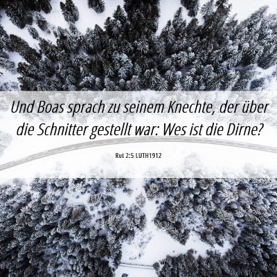 Picture 06 - Rut 2:5 LUTH1912 - Und Boas sprach zu seinem Knechte, der über die - Bible Verse Picture