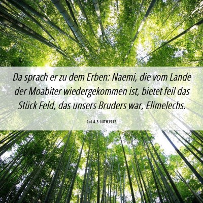 Picture 06 - Rut 4:3 LUTH1912 - Da sprach er zu dem Erben: Naemi, die vom Lande - Bible Verse Picture