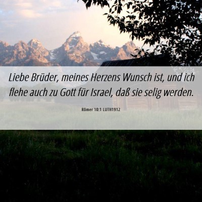 Picture 06 - Römer 10:1 LUTH1912 - Liebe Brüder, meines Herzens Wunsch ist, und ich - Bible Verse Picture