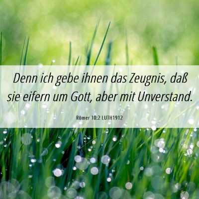 Picture 06 - Römer 10:2 LUTH1912 - Denn ich gebe ihnen das Zeugnis, daß sie eifern - Bible Verse Picture