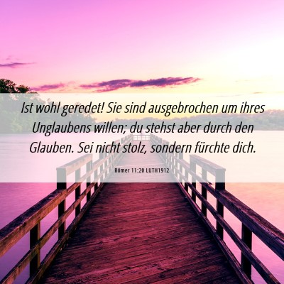 Picture 06 - Römer 11:20 LUTH1912 - Ist wohl geredet! Sie sind ausgebrochen um ihres - Bible Verse Picture