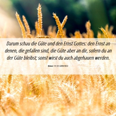 Picture 06 - Römer 11:22 LUTH1912 - Darum schau die Güte und den Ernst Gottes: den - Bible Verse Picture
