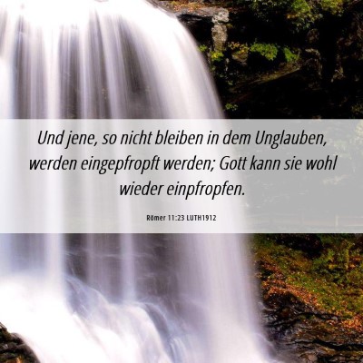 Picture 06 - Römer 11:23 LUTH1912 - Und jene, so nicht bleiben in dem Unglauben, - Bible Verse Picture