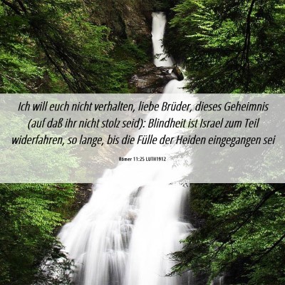Picture 06 - Römer 11:25 LUTH1912 - Ich will euch nicht verhalten, liebe Brüder, - Bible Verse Picture