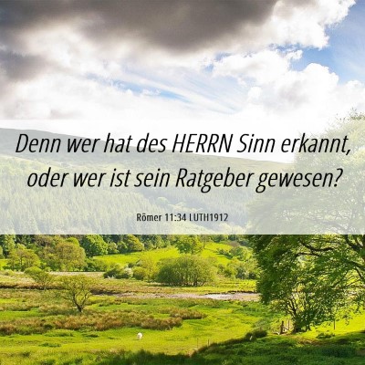 Picture 06 - Römer 11:34 LUTH1912 - Denn wer hat des HERRN Sinn erkannt, oder wer ist - Bible Verse Picture