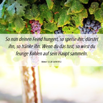 Picture 06 - Römer 12:20 LUTH1912 - So nun deinen Feind hungert, so speise ihn; - Bible Verse Picture
