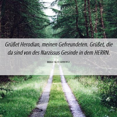 Picture 06 - Römer 16:11 LUTH1912 - Grüßet Herodian, meinen Gefreundeten. Grüßet, - Bible Verse Picture