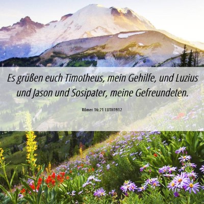 Picture 06 - Römer 16:21 LUTH1912 - Es grüßen euch Timotheus, mein Gehilfe, und - Bible Verse Picture