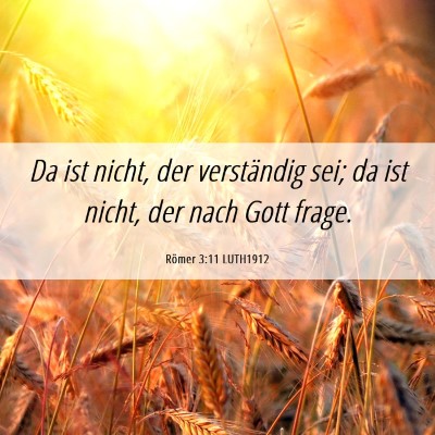 Picture 06 - Römer 3:11 LUTH1912 - Da ist nicht, der verständig sei; da ist nicht, - Bible Verse Picture