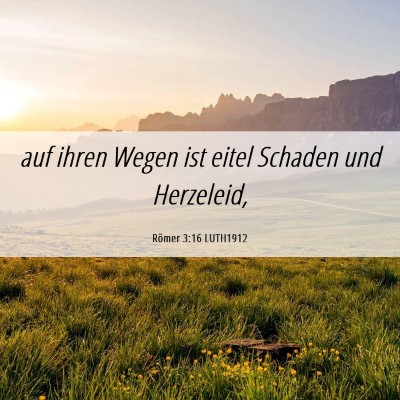 Picture 06 - Römer 3:16 LUTH1912 - auf ihren Wegen ist eitel Schaden und - Bible Verse Picture