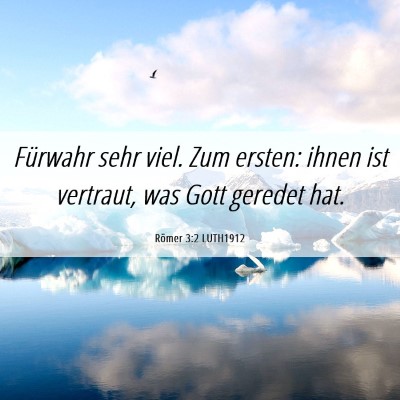 Picture 06 - Römer 3:2 LUTH1912 - Fürwahr sehr viel. Zum ersten: ihnen ist - Bible Verse Picture