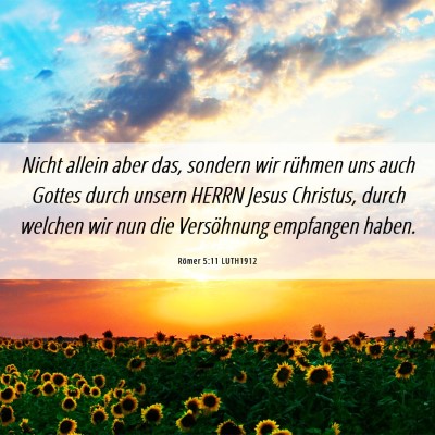 Picture 06 - Römer 5:11 LUTH1912 - Nicht allein aber das, sondern wir rühmen uns - Bible Verse Picture