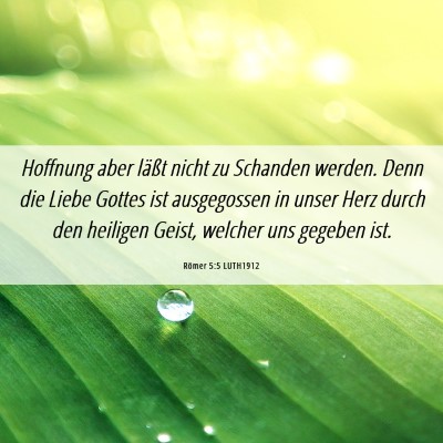 Picture 06 - Römer 5:5 LUTH1912 - Hoffnung aber läßt nicht zu Schanden werden. - Bible Verse Picture