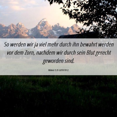 Picture 06 - Römer 5:9 LUTH1912 - So werden wir ja viel mehr durch ihn bewahrt - Bible Verse Picture