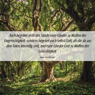 Picture 06 - Römer 6:13 LUTH1912 - Auch begebet nicht der Sünde eure Glieder zu - Bible Verse Picture