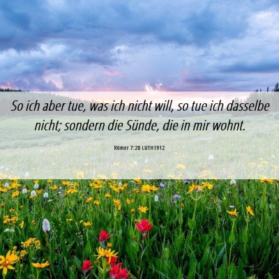 Picture 06 - Römer 7:20 LUTH1912 - So ich aber tue, was ich nicht will, so tue ich - Bible Verse Picture