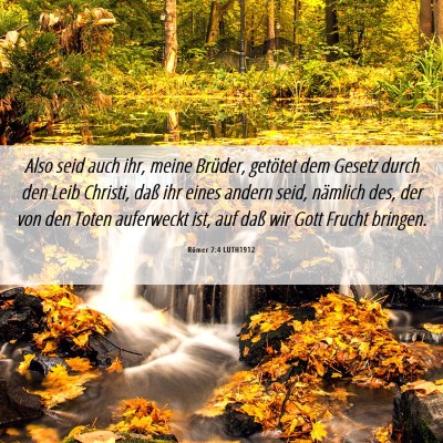 Picture 06 - Römer 7:4 LUTH1912 - Also seid auch ihr, meine Brüder, getötet dem - Bible Verse Picture