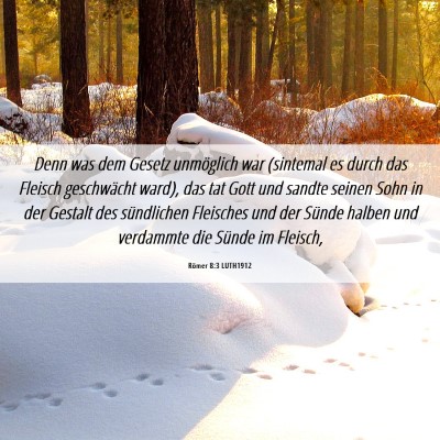 Picture 06 - Römer 8:3 LUTH1912 - Denn was dem Gesetz unmöglich war (sintemal es - Bible Verse Picture