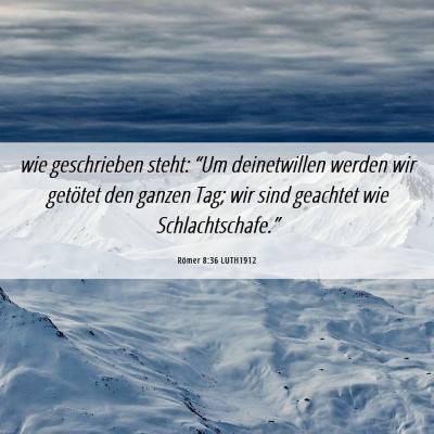 Picture 06 - Römer 8:36 LUTH1912 - wie geschrieben steht: “Um deinetwillen werden - Bible Verse Picture