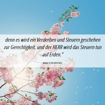 Picture 06 - Römer 9:28 LUTH1912 - denn es wird ein Verderben und Steuern geschehen - Bible Verse Picture